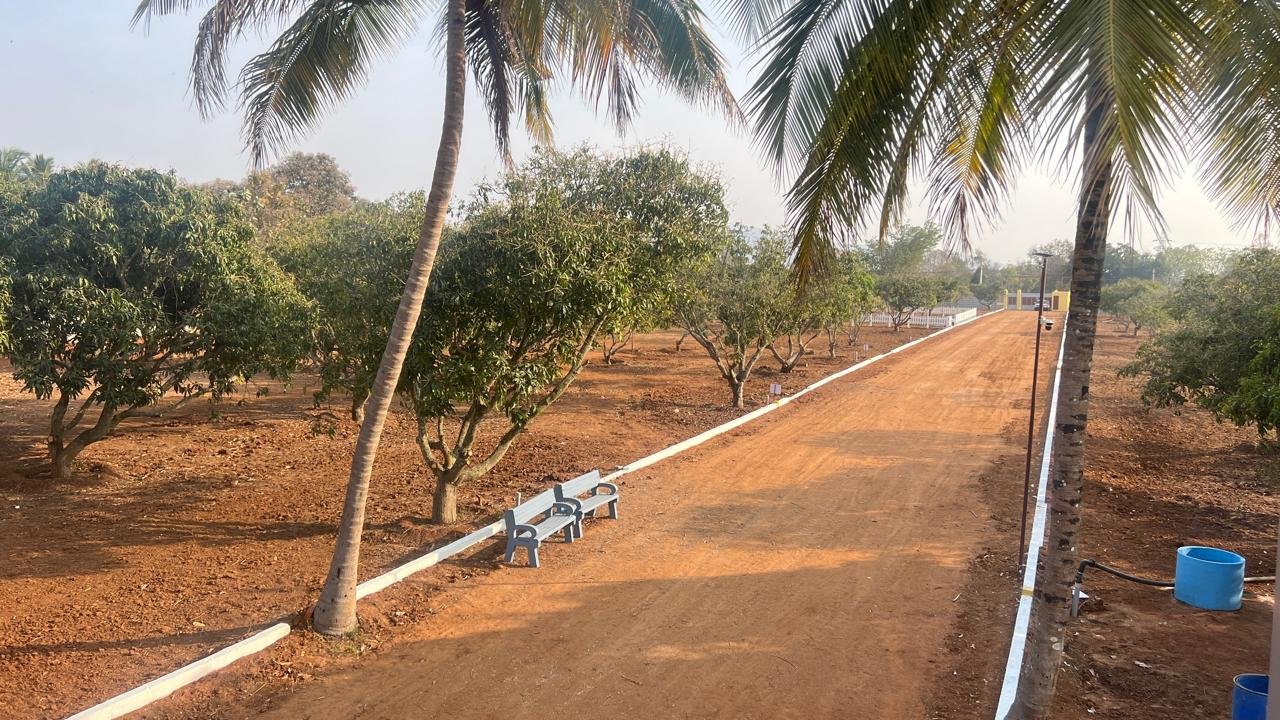 Premium farmland for sale near highway connectivity